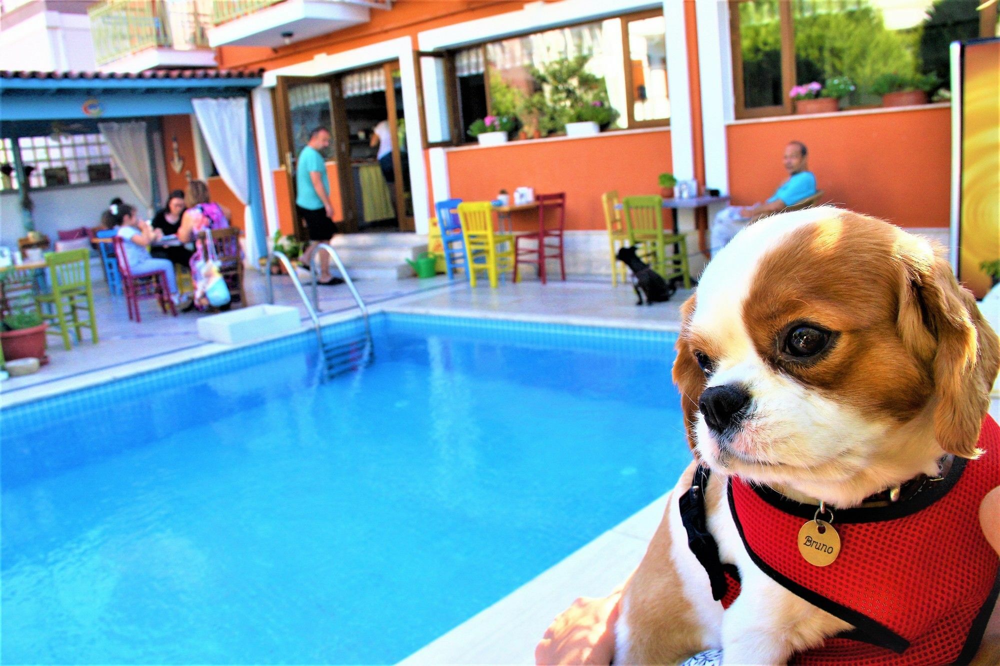 Foca 1887 Hotel Ngoại thất bức ảnh